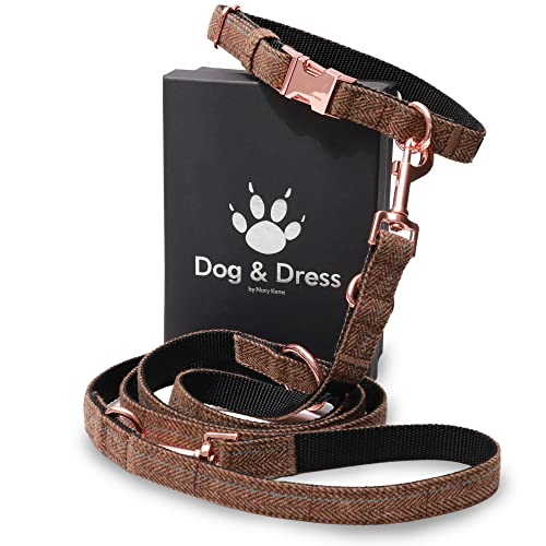 Dog & Dress Hundehalsband Und Leine Set, Rosegold, Verstellbar, Hundeleine große Hunde, 2m, 3 Ringe, Karabiner, Kleine Mittelgroße GroßeHunde, Nylon, Geschenk Hund… von Dog & Dress by Nacy Kena