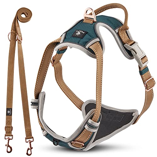 Dog & Dress Hundegeschirr Leine für große Hunde, verstellbares Anti-Zug Geschirr- Set mit 2m Hundeleine, 2 Karabiner und 3 Ringen, reflektierende Materialien, atmungsaktiv & schmutzabweisend von Dog & Dress by Nacy Kena