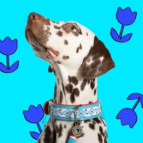 DWAM Dog with a Mission - Hundehalsband L | Dutchie, Blau und Rot mit Perlen | Boho und Hippie | Ideal für große Hunde | Handgemacht | Modisch und Bunt | Aus weichem Echtes Leder | 4 cm Breit von Dog with a Mission