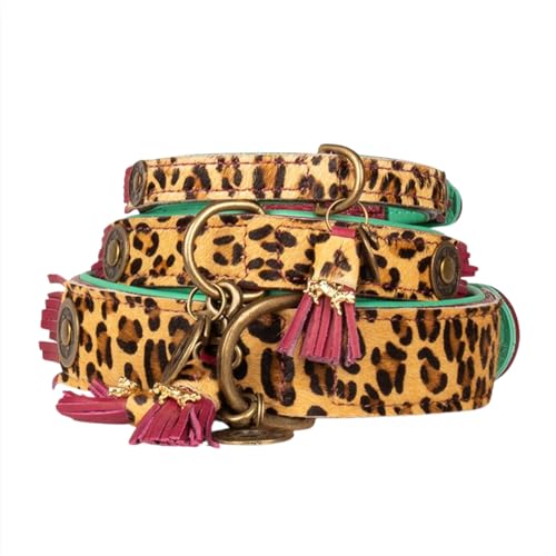 Dog with a Mission - Hundehalsband L | Leopard, Türkis, Braun | Boho, Ethno, Urban, Hippie | Ideal für große Hunde | Handgemacht, Bunt und Modisch Design, Luxe | 4 cm Breit von Dog with a Mission