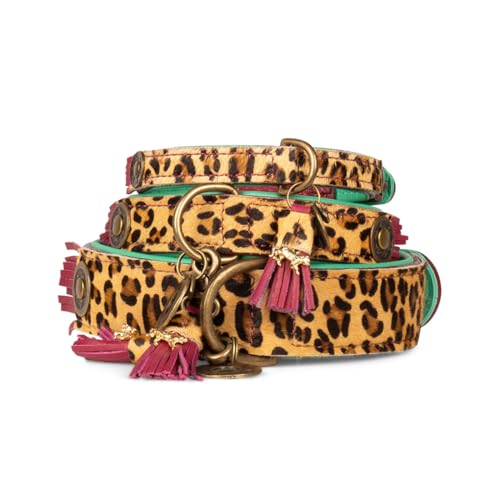 Dog with a Mission - Hundehalsband XXS | Leopard, Türkis, Braun | Boho, Ethno, Urban, Hippie | Ideal für große Hunde | Handgemacht, Bunt und Modisch Design, Luxe | 2 cm Breit von Dog with a Mission