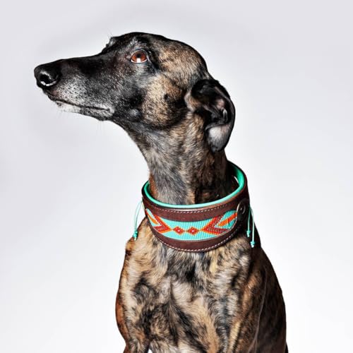 Dog with a Mission – Windhund Hundehalsband S | Farbenfroh Türkis, Orange mit Perlen | Boho, Hippie | Extra große Hunde | Handgemacht | Modisch und Bunt | Aus weichem Echtes Leder | 4 cm Breit von Dog with a Mission