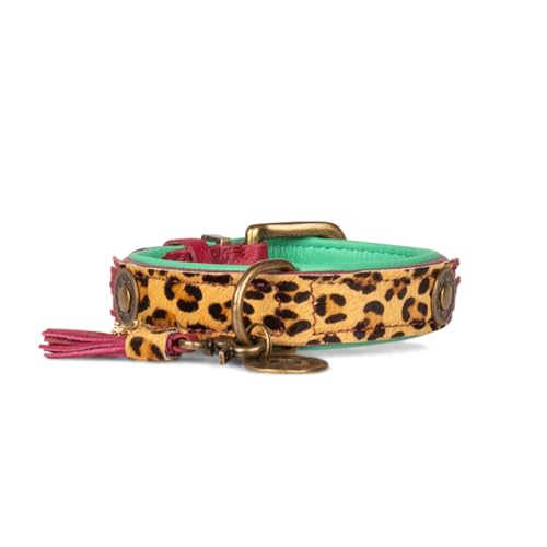 Dog with a Mission - Hundehalsband M | Leopard, Türkis, Braun | Boho, Ethno, Urban, Hippie | Ideal für mittelgroße Hunde | Handgemacht, Bunt und Modisch Design, Luxe | 2,5 cm Breit von Dog with a Mission