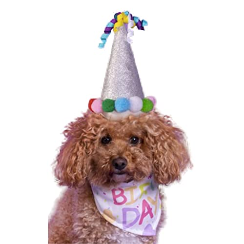 DogBox Boutique | Hundegeburtstagsmütze und Hundegeburtstagstuch 2-teiliges Set | Für kleine, mittelgroße und große Hunde | Hunde-Partyhut, Hunde-Partyhut | Wiederverwendbare von DogBox Boutique
