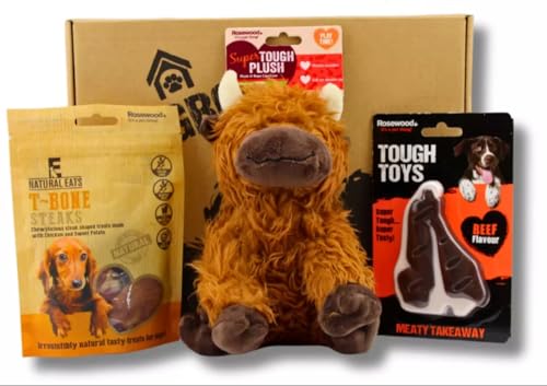 DogBox Boutique Kuh-Spielzeughund-Geschenkbox Hund mit robustem Spielzeugrindfleischgeschmack und Natural Eats T-Bone-Steaks von DogBox Boutique