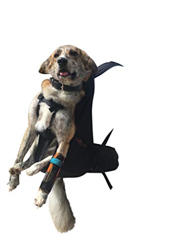 DogCarrier Patentierter PREMIUM XXL Leg free Hunderucksack - Hundetrage Hundetasche Rucksack für Hunde von 15-25kg Gewicht und einer Rückenlänge bis 67cm von DogCarrier