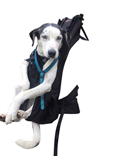 Patentierter Premium XXL Leg Free Hunderucksack - Hundetrage Hundetasche Rucksack für große, Massive kompakte und schlanke Hunde von 16-30 kg Gewicht und Einer Rückenlänge von max. 67 cm von DogCarrier