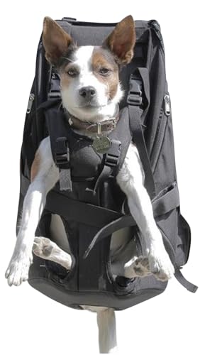 Patentierter Premium Leg Free Rucksack zum Tragen von Hunden Hunderucksack Hundetrage Hundetragerucksack für Hunde von 11-18kg mit 4-Träger Targesystem von DogCarrier