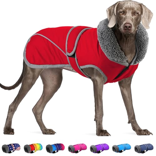 Dogchee Wintermantel für Hunde, Fleece-Kragen, Hundejacke, Kleidung, reflektierendes Fleece-Futter, Haustier-Pullover, warme Bekleidung für kleine, mittelgroße und große Hunde von Dogcheer