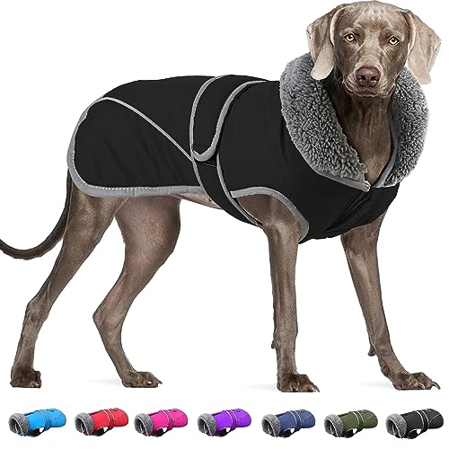 Dogchee Wintermantel für Hunde, Fleece-Kragen, Hundejacke, Kleidung, reflektierendes Fleece-Futter, Haustier-Pullover, warme Bekleidung für kleine, mittelgroße und große Hunde von Dogcheer