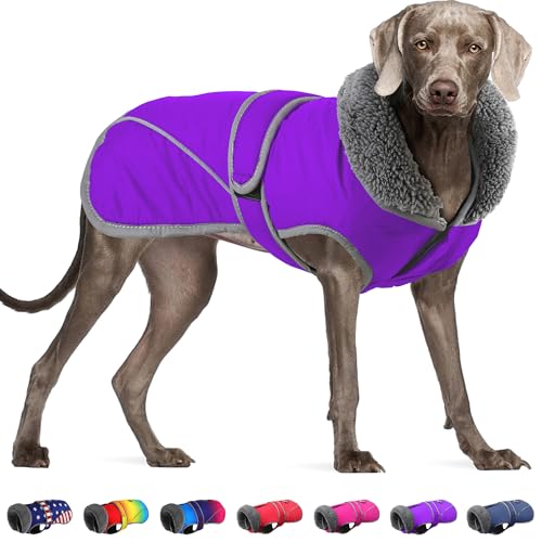 Dogchee Wintermantel für Hunde, Fleece-Kragen, Hundejacke, Kleidung, reflektierendes Fleece-Futter, Haustier-Pullover, warme Bekleidung für kleine, mittelgroße und große Hunde von Dogcheer