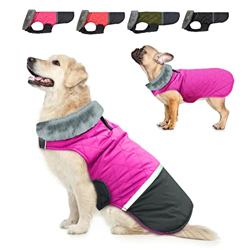 Dogcheer Hunde-Wintermantel, wendbarer Fleece-Kragen, Hundejacke, klein, mittel, groß, wasserabweisend, Hundejacke, Hundekleidung, warme Hundeweste, Pullover für Damen und Herren von Dogcheer