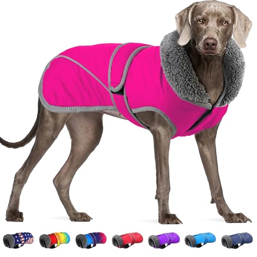 Dogcheer Hundemantel, wasserdichte Hundejacke, Weihnachten, Wintermantel mit Loch für die Leine, reflektierend, verstellbar, Schneeanzug, gemütliche Haustier-Winterkleidung für kleine, mittelgroße und von Dogcheer