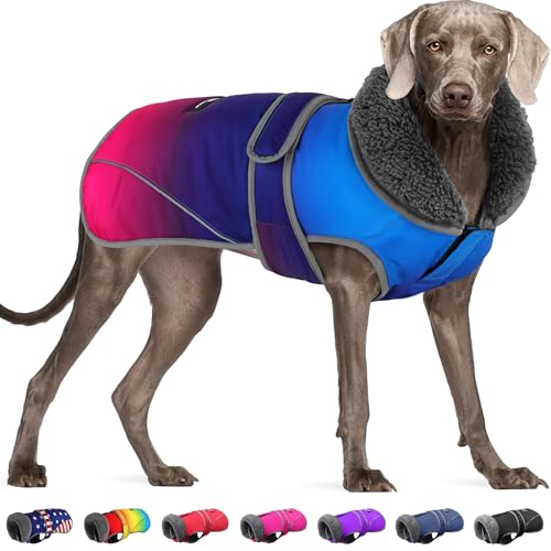 Dogcheer Hundemantel, weihnachtliche Hundejacke, wasserdichter Hunde-Wintermantel für kaltes Wetter, reflektierend, verstellbar, für Welpen, Schneejacke, Fleecepullover für kleine, mittelgroße und von Dogcheer