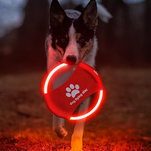 Wiederaufladbare LED-Frisbee für Hunde – leuchtende fliegende Scheibe für Nachtspiele – langlebiges wasserdichtes LED-Hundespielzeug für Outdoor-Training – perfekt für Hinterhof, Park & Strandspaß Wiederaufladbare LED-Frisbee für Hunde – leuchtende fliegende Scheibe für Nachtspiele – langlebiges wasserdichtes LED-Hundespielzeug für Outdoor-Training – perfekt für Hinterhof, Park & Strandspaß von DoggKKin