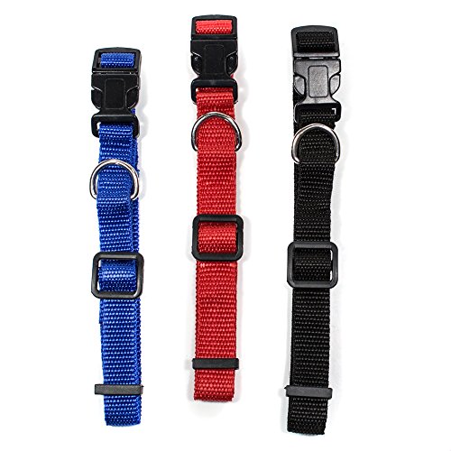 3er Set Hundehalsbänder Naturprodukt Hanffaser (rot, blau, schwarz), verstellbar von ca. 40 - 62 cm, Hunde, Halsband von Doggi