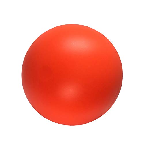 Doggie Dooley Praktisch unzerstörbarer Ball für Hunde, 35,6 cm (Farben können variieren von Doggie Dooley