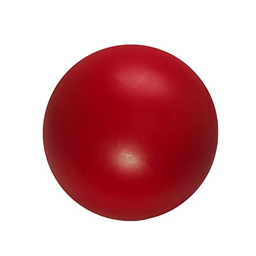 Doggie Dooley Praktisch unzerstörbarer Bester Ball für Hunde, 20,3 cm (Farben variieren) von Doggie Dooley