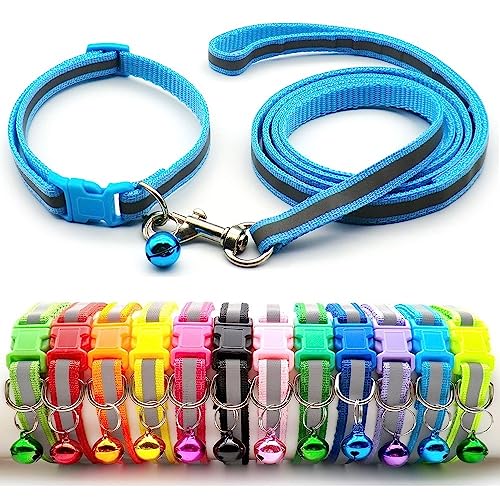 Doggie Style Store Halsband und Leine für kleine Hunde, Welpen, Katzen, Kätzchen, reflektierend, Hi-Vis Streifen, Nylon, Glocke, verstellbar, Schnellverschluss-Clip, Hellblau von Doggie Style Store