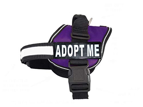 ADPOT ME Hundegeschirr aus Nylon. Wird mit 2 reflektierenden, abnehmbaren Adopt Me Patches geliefert. Bitte messen Sie Ihren Hund vor der Bestellung von Doggie Stylz