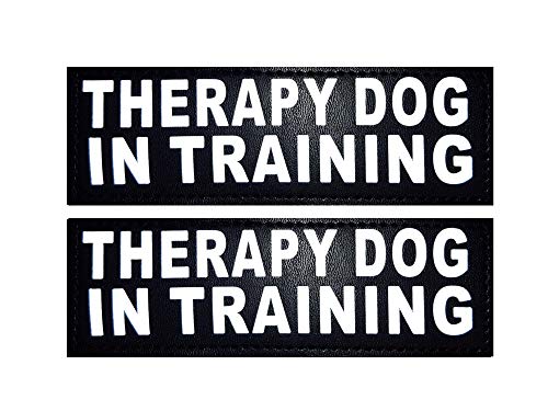 Doggie Stylz 2er Set Reflektierende Therapie Hund im Training abnehmbare Patches für Service Hundegeschirre & Westen, Small 3"x1", schwarz von Doggie Stylz