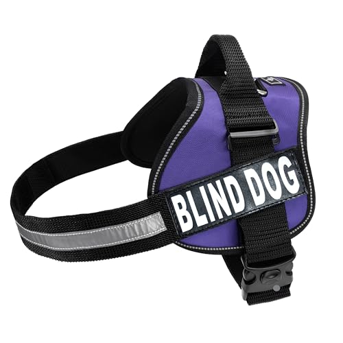 Doggie Stylz Blind Hundegeschirr mit abnehmbaren Patches und reflektierenden Rändern Wird mit 2 reflektierenden Klettverschlüssen geliefert. Messen Sie den Umfang des Hundes vor dem Kauf (Umfang 48,3 von Doggie Stylz
