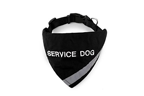 Doggie Stylz Hundehalstuch mit Reflektorstreifen für mehr Sicherheit bei Nacht. Mit integriertem passendem Halsband zum sicheren Halt, Metallring zur Befestigung der Leine, NECK 14-20", schwarz von Doggie Stylz