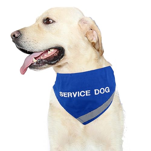 Doggie Stylz Hundehalstuch mit Reflektorstreifen für mehr Sicherheit bei Nacht. Mit integriertem passendem Halsband zum sicheren Halt, Metallring zur Befestigung der Leine, NECK 8-12", blau von Doggie Stylz