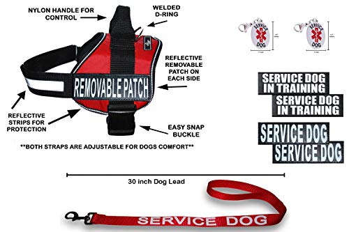 Doggie Stylz Offizielles Servicehund in Trainingsweste, Set bestehend aus Servicehund + Servicehund im Training, abnehmbare reflektierende Flicken, 76,2 cm lange Leine + 2 Erkennungsmarken von Doggie Stylz