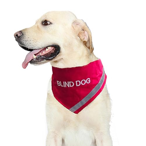 Doggie Stylz Reflektierendes Hundehalstuch für blinde Hunde – Sicherheitsausrüstung mit hoher Sichtbarkeit, perfekt für blinde Hunde oder Diensthundehalsband, leichte Geräte für blinde Hunde, von Doggie Stylz