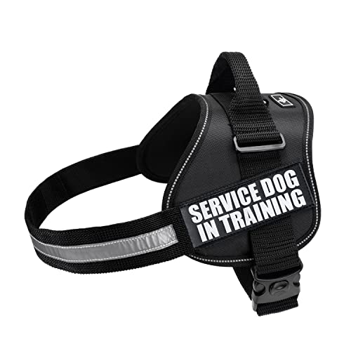 Doggie Stylz Servicehund in Trainingsweste mit Klettverschlüssen und Griff Geschirr in den Größen XXS bis XXL drei Farben Hundegeschirr mit 2 reflektierenden Patches (Umfang 762 cm 1067 cm) schwarz von Doggie Stylz