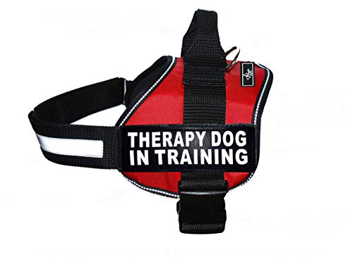 Therapie Dog in Training Hundegeschirr Nylon Kauf kommt mit 2 reflektierenden Therapiehunden Trainingspfaden Bitte messen Sie Ihren Hund vor der Bestellung (Umfang 30,5 - 40,6 cm, Rot) von Doggie Stylz