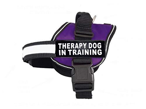 Therapie Hund in Training Hundegeschirr Nylon Kauf kommt mit 2 reflektierenden Therapiehunden Trainingspfaden Bitte messen Sie Ihren vor der Bestellung (Umfang 35,6–45,7 cm, Violett) von Doggie Stylz