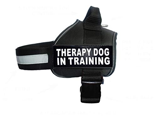 Therapiegeschirr für Hunde im Training, Nylon, mit 2 reflektierenden Therapiehunden auf Trainingspfaden. Bitte messen Sie Ihren Hund vor der Bestellung (Umfang 48,3–63,5 cm, Schwarz) von Doggie Stylz