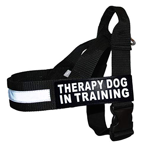 Therapy Dog in Training Nylon Geschirr keine Pull Guide Hilfe kommt mit 2 reflektierenden "Therapy Dog in Training" Abnehmbare Klett Patches. Bitte Messen Sie Ihren Hund vor Bestellung. von Doggie Stylz