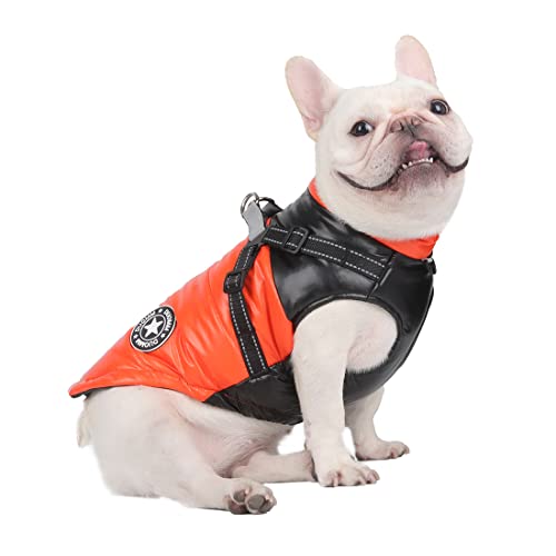 DoggieKit Hundemantel Winter Warm Gepolstert Puffer Pet KostümHund Kleidung Winterweste Hundejacke Wintermäntel wasserdichte Warme Jacke Sweater für Kleine Mittelgroße Große Hunde (S, Orange) von DoggieKit