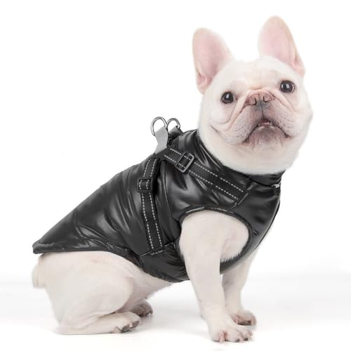 DoggieKit Hundemantel Winter Warm Gepolstert Puffer Pet KostümHund Kleidung Winterweste Hundejacke Wintermäntel wasserdichte Warme Jacke Sweater für Kleine Mittelgroße Große Hunde von DoggieKit