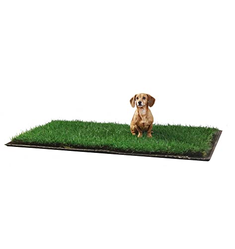 DoggieLawn Einweg-Hundetöpfchen, echtes Gras, Größe XL, 61 x 122 cm mit FlexTray von DoggieLawn