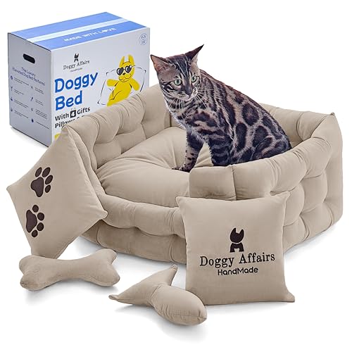 Doggy Affairs HandMade Luxus-Katzenbett mit abnehmbarem, waschbarem Bezug, Premium-Katzenbetten für Indoor-Katzen, ausgefallenes Hundebett für kleine Hunde, rutschfeste Katzen-Couch-Bett, von Doggy Affairs HandMade