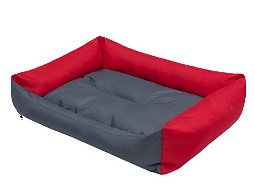 DOGGY Hundebett Katzenbett Haustierbett Katzenliege Hundeliege Hundekissen Hundematratze Tierbett Hundesofa Matratze, Grau und rot, L - 62 x 43 cm von DOGGY