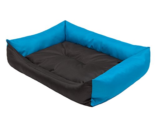 DOGGY Hundebett Katzenbett Haustierbett Katzenliege Hundeliege Hundekissen Hundematratze Tierbett Hundesofa Matratze, Schwarz und blau, L - 62 x 43 cm von DOGGY