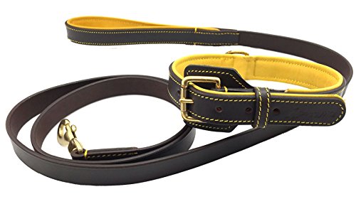 DoggyHQ The Huntington Halsband und Leine, Größe L, Braun (Bistre Brown) von DoggyHQ