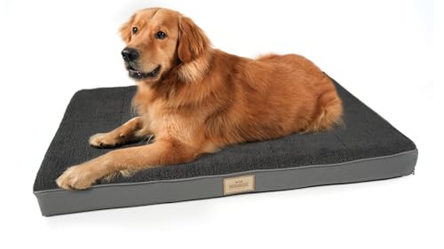 Doghouse Premium Hundebett Mittelgrosse Hunde 100x65x9cm Hundematte Waschbar, Hundekissen flauschig, Hundematratze für Mittelgrosse Hunde in Anthrazit ergonomisch von Doghouse Premium