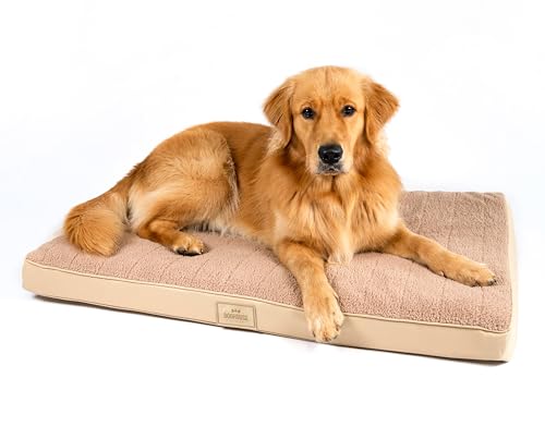 Doghouse Premium Hundebett Mittelgrosse Hunde 100x65x9cm Hundematte Waschbar, Hundekissen flauschig, Hundematratze für Mittelgrosse Hunde in Beige von Doghouse Premium