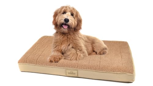 Doghouse Premium orthopädisches Hundebett kleine Hunde 77x51x9cm Hundematte Waschbar, Hundekissen flauschig, Hundematratze für kleine Hunde in Beige von Doghouse Premium