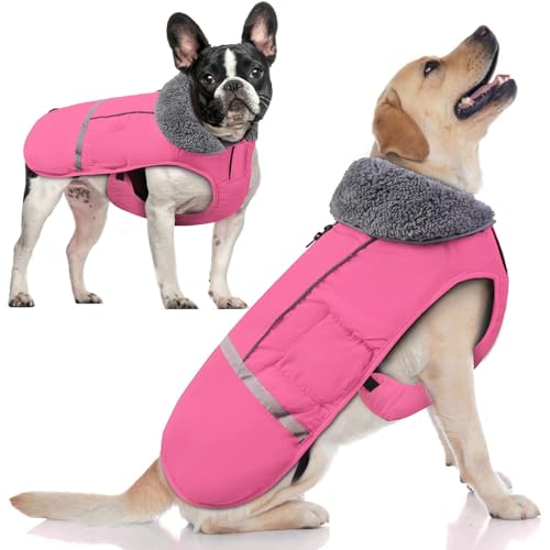 Doglay Hunde-Wintermantel mit dickem Pelzkragen, reflektierend, warm, Fleece-Futter, wasserdicht, winddicht, für kaltes Wetter, weiche Welpenweste für kleine, mittelgroße und große Hunde von Doglay