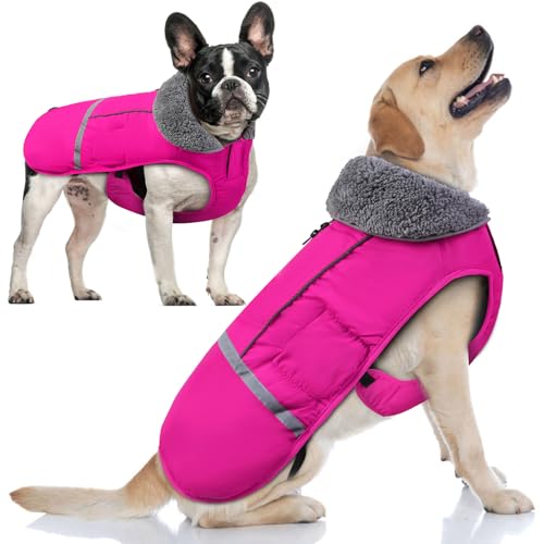 Doglay Hunde-Wintermantel mit dickem pelzigem Halsband, reflektierend, warm, wasserdicht, winddicht, Hundekleidung für kaltes Wetter, mittelgroße und große Hunde (L, Rosa) von Doglay