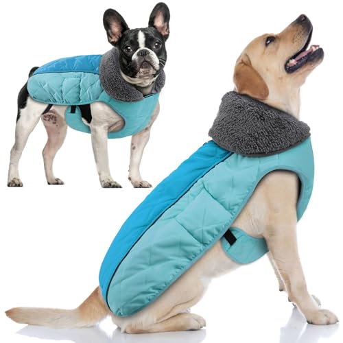 Doglay Hunde-Wintermantel mit dickem pelzigem Kragen, Fleece-Futter, reflektierend, warme Hundejacke, wasserdicht, verstellbare Hundekleidung für kaltes Wetter, weiche Welpenweste für kleine, von Doglay