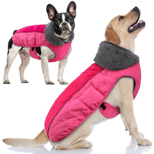 Doglay Hunde-Wintermantel mit dickem pelzigem Kragen, Fleece-Futter, reflektierend, warme Hundejacke, wasserdicht, verstellbare Hundekleidung für kaltes Wetter, weiche Welpenweste für kleine, von Doglay