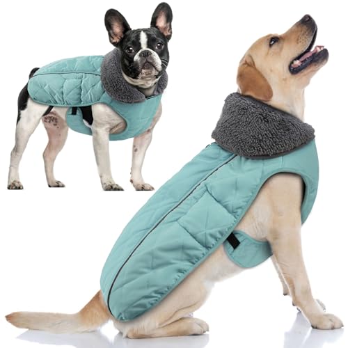 Doglay Hunde-Wintermantel mit dickem pelzigem Kragen, Fleece-Futter, reflektierend, warme Hundejacke, wasserdicht, verstellbare Hundekleidung für kaltes Wetter, weiche Welpenweste für kleine, von Doglay